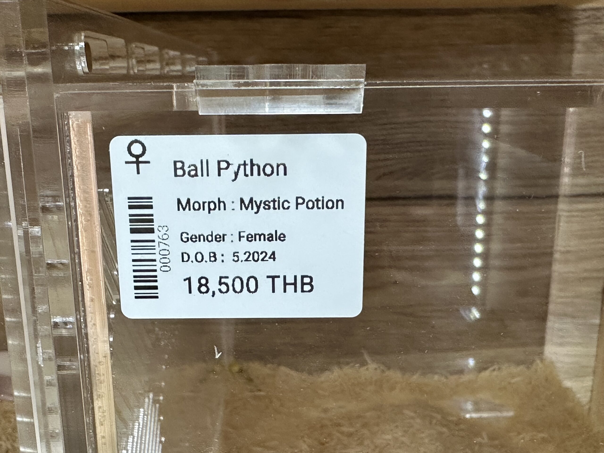 jfdksfjldsfj879